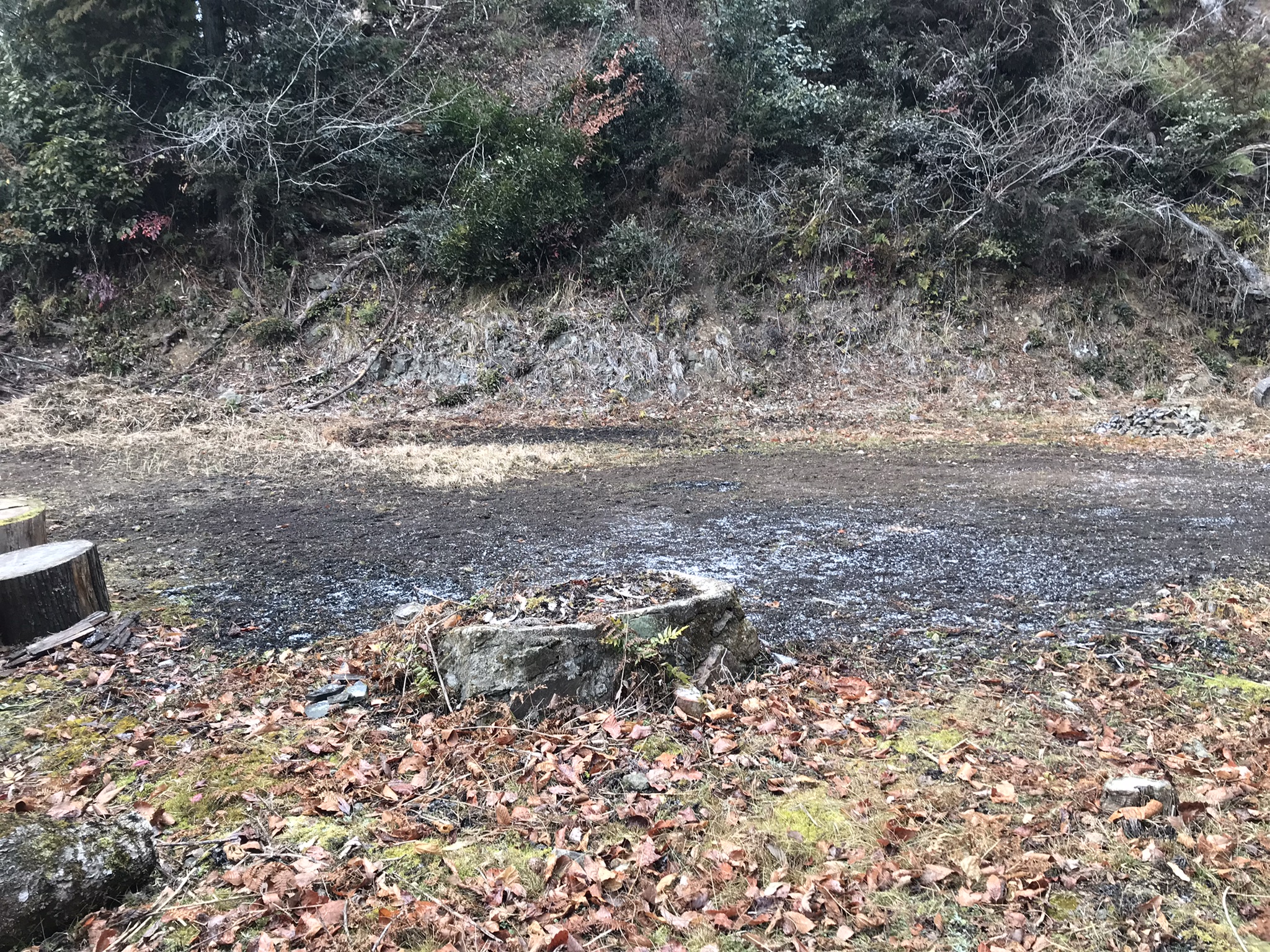 亀岡里山サウナについてのご報告です