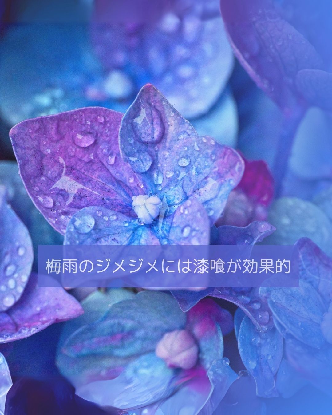 梅雨のジメジメ、実は壁材で変わります｜快適な湿度を保つ漆喰の家