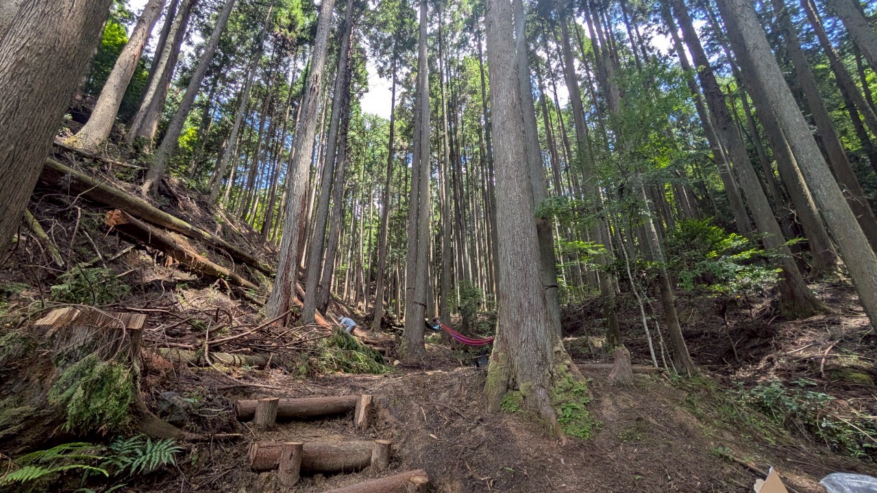8月3日山の歩道つくりワークショップ開催します！！