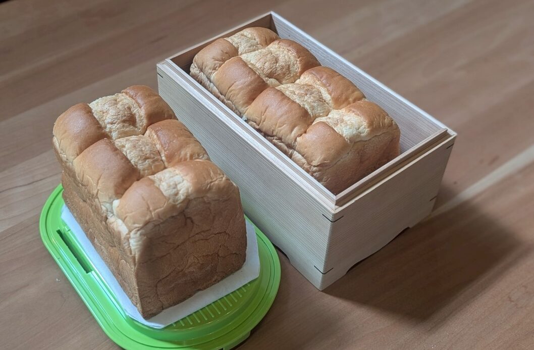 🍞パンの保存実験スタート！奇跡の杉 vs プラスチック、結果はいかに？