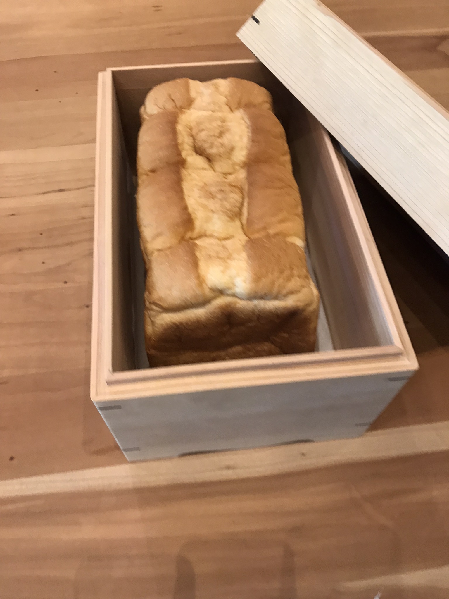 🍞パンの保存実験【30日経過】