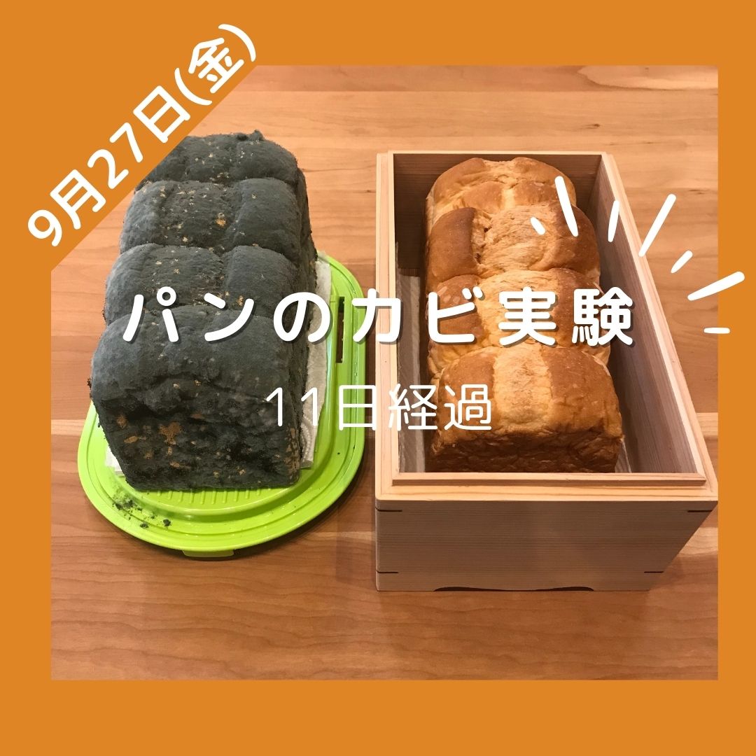 9月16日（月）に食パンを保存して11日が経過しました。9月27日（金）